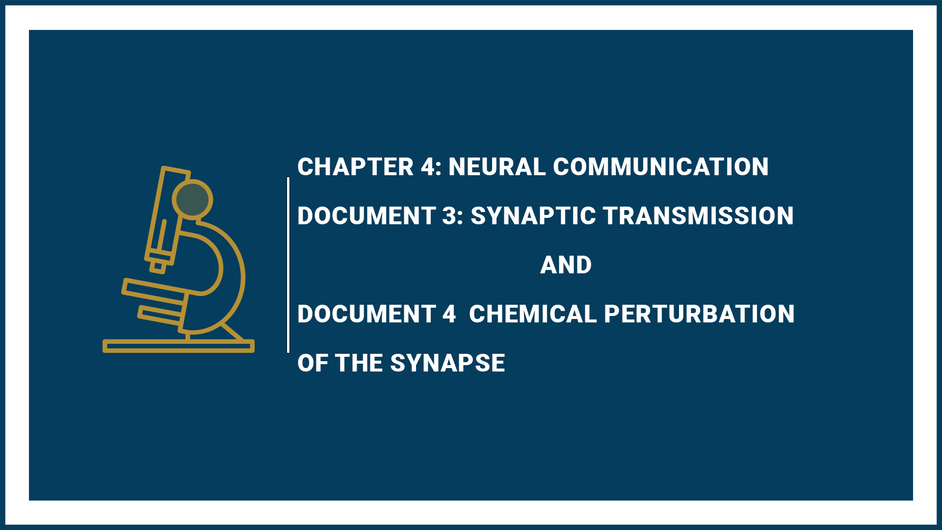 Chapter 4: Neural communication (Document 3: Synaptic Transmission and Document 4: Chemical Perturbation of the Synapse)